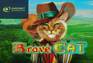 Brave Cat